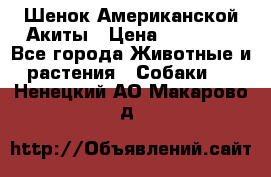 Шенок Американской Акиты › Цена ­ 35 000 - Все города Животные и растения » Собаки   . Ненецкий АО,Макарово д.